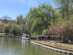 -仁和公园(顺义区)