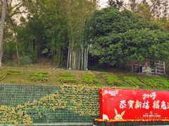 -广东温泉宾馆