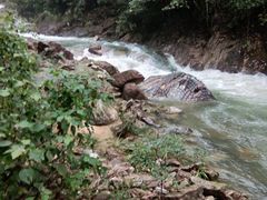 -九龙江国家森林公园