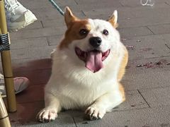 -去茶山(新光里店)