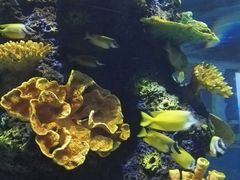 -苏州海洋馆