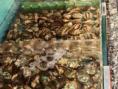 -舌尖上·霞浦滩涂海鲜·新闽菜(总店)