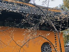 -西园戒幢律寺