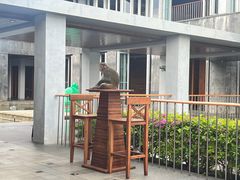 -日落吧·海景咖啡厅·餐酒吧·鸡尾酒·下午茶·乐队表演·浪漫夕阳·三亚文华东方酒店