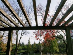 -白塘生态植物园