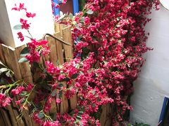 -甜阿姨·天台花园私房菜(万松园店)