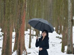 -武陵山森林公园