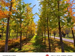 -汉长安城未央宫国家考古遗址公园