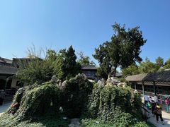 -莲池书院博物馆