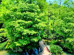 -云溪植物园