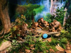 -湖南省地质博物馆