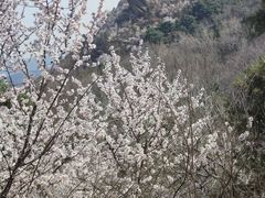 -阳台山自然风景区