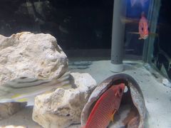 -邯郸海洋世界