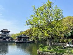 -无锡蠡湖国家湿地公园-蠡园