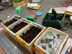 -渔人湾码头海鲜市场负二楼