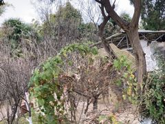 -昆明动物园