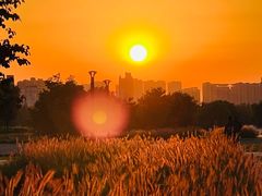 -汉长安城未央宫国家考古遗址公园