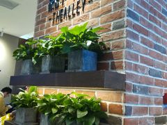 -鹿角巷The Alley(龙湖天街店)