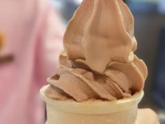 阿华田风味圆筒-麦当劳(浦珠路得来速店)