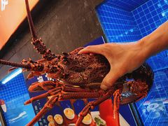 -连鹭海鲜·海肠捞饭·海胆饭(星海店)
