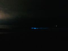 -西涌国际滨海旅游区