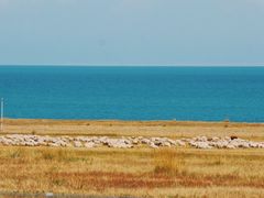-青海湖国家重点风景名胜区