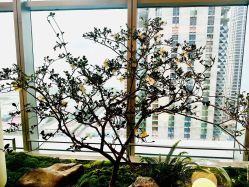 -深圳芙必优医疗美容·抗衰中心