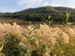 -里口山风景名胜区