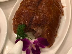 -九花山烤鸭店