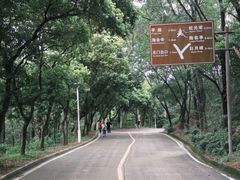 -大雁山风景区