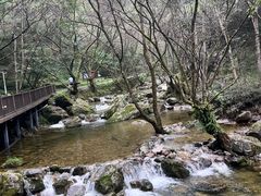 -牛背梁国家森林公园
