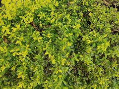 -广州市第二少年宫