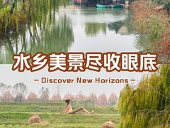 -乌村