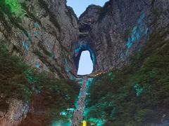 -印象鲵宴·张家界地标美食名片(溪布街店)