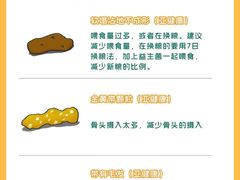 -瑞派申生动物医院·24H夜诊·国际动物医疗中心·骨外科(吴中路店)