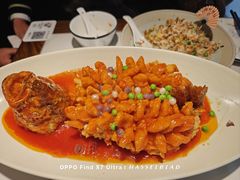 -打酱油·非遗淮扬菜(瘦西湖梅岭老店)