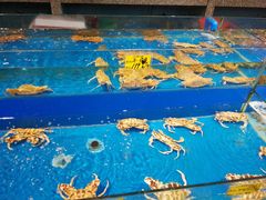 -拉完海鲜大排档(温岭店)