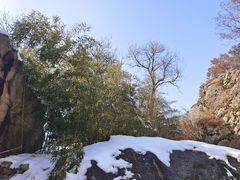 -秦岭终南山世界地质公园翠华山景区