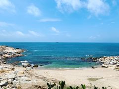 -广东惠东海龟国家级自然保护区