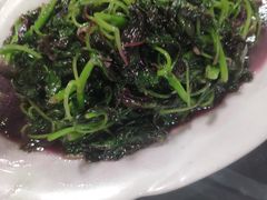 -小杨酒家(华苑小区店)