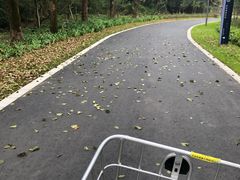 -昆山城市生态森林公园