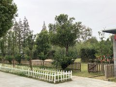-前小桔亲子创意农场·草莓采摘·露营烧烤