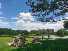 -东莞植物园