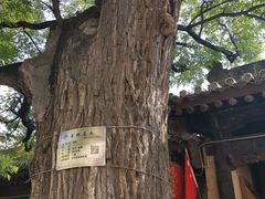 -胡氏古民居建筑