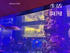 -鲨鱼餐厅.海景川粤餐厅(重庆天地店)