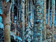 -沈阳“九·一八”历史博物馆