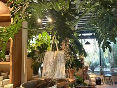 -自由生长植物工作室(深港花卉中心店)