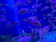 -成都浩海立方海洋公园