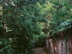 -宁波市保国寺古建筑博物馆