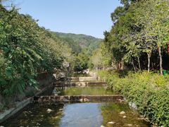 -广州白江湖森林公园